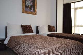 Отель Hotel Taverna Pecicana Pecica Двухместный номер с 2 отдельными кроватями и ванной комнатой-7