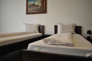 Отель Hotel Taverna Pecicana Pecica Двухместный номер с 2 отдельными кроватями и ванной комнатой-8