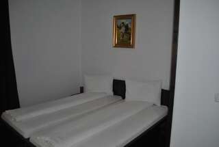 Отель Hotel Taverna Pecicana Pecica Двухместный номер с 2 отдельными кроватями и ванной комнатой-10