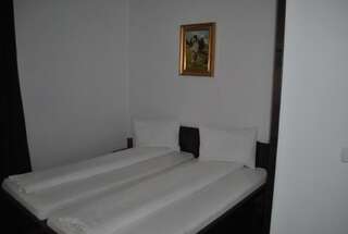 Отель Hotel Taverna Pecicana Pecica Двухместный номер с 2 отдельными кроватями и ванной комнатой-20